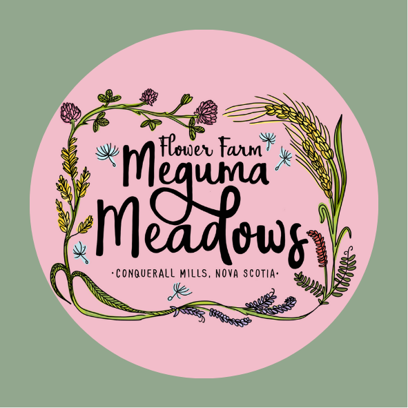 Discover Downtown Bridgewater Day – Meguma Meadows