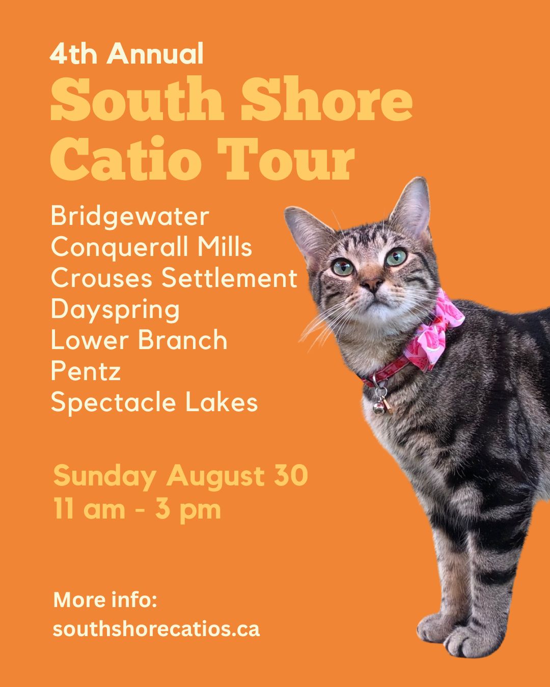 4th Annual South Shore Catio Tour