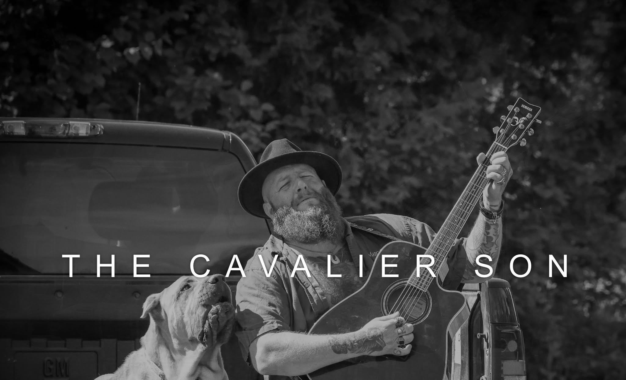 The Cavalier Son live at King Street Beer