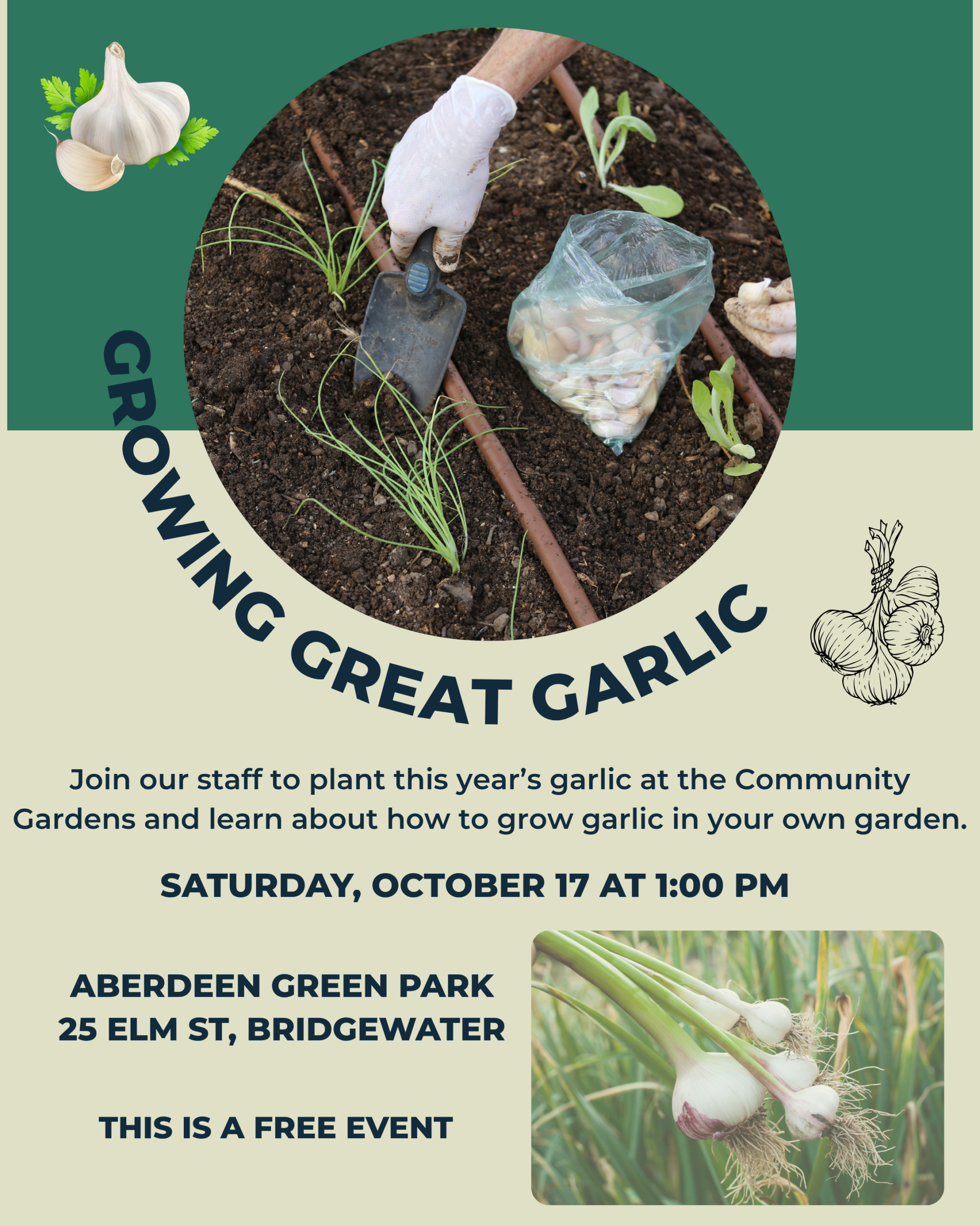 Growing Great Garlic