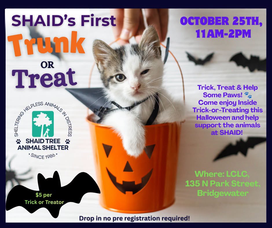 SHAID’S First Trunk or Treat!